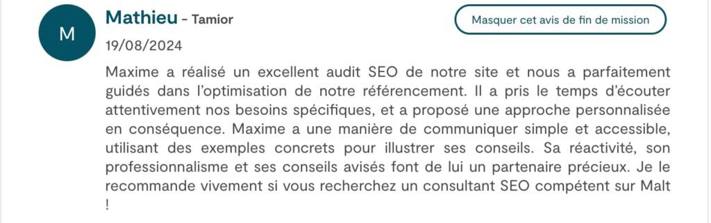 avis sur mon audit SEO 1 1 1