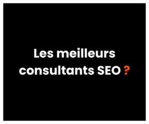 Les meilleurs consultants SEO
