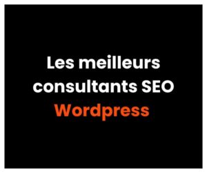 Les meilleurs consultants SEO WordPress