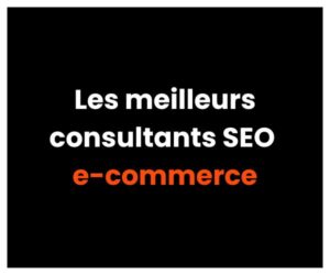 Les meilleurs consultants SEO ecommerce