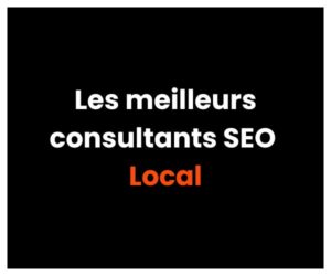 Les meilleurs consultants SEO local